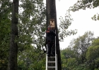budki dla kawek powiesili uczestnicy WTZ w Parku Miejskim w Bytomiu